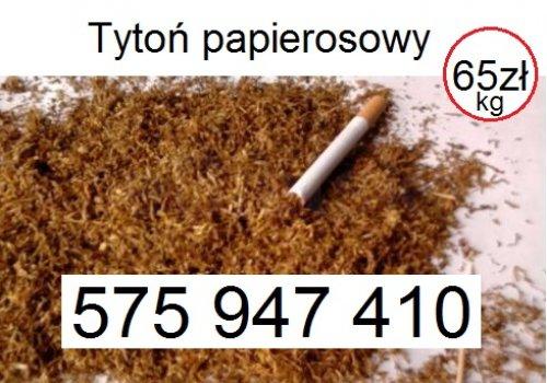Tani tytoń dostawa 24h 65zl/kg najlepszy tyton papierosowy 575-947-410